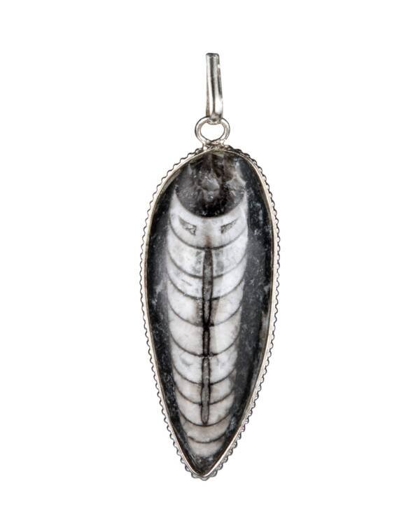 Finance Pendant