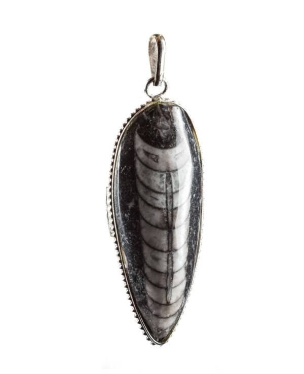 Finance Pendant